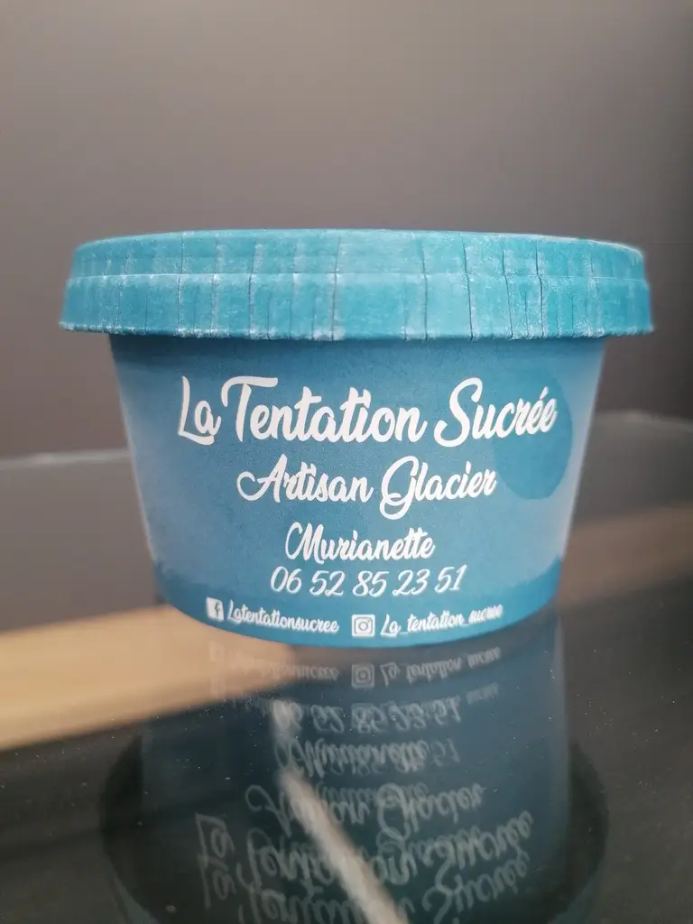 Pot de glace 240ml